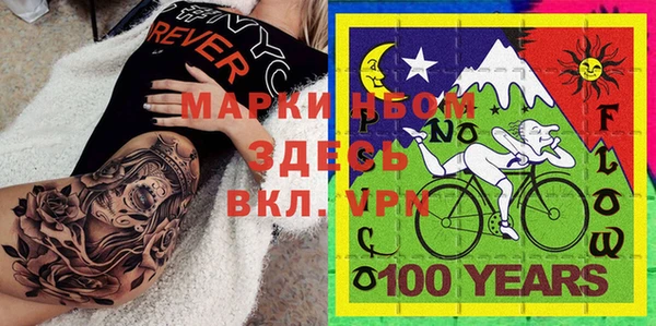 ГАЛЛЮЦИНОГЕННЫЕ ГРИБЫ Осинники